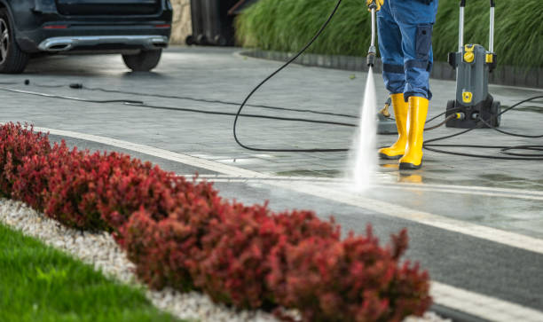 Best Best Pressure Washing Companies  in Salida, CO