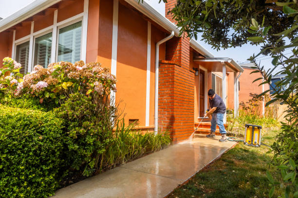 Best House Pressure Washing  in Salida, CO