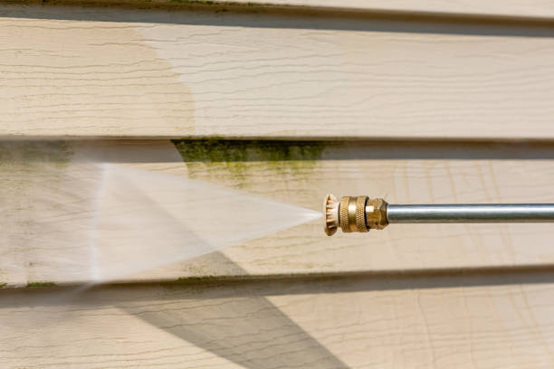 Best Pressure Washing Services Near Me  in Salida, CO