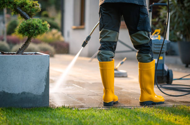 Best Roof Power Washing Services  in Salida, CO